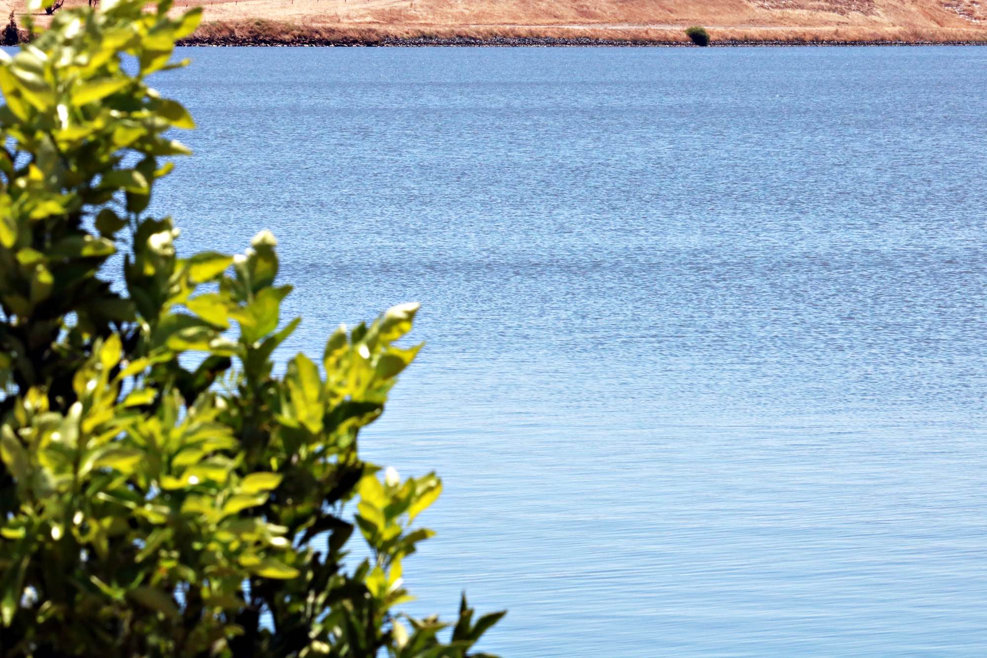 BBID Water Supply Update – July 2022 – Byron-Bethany Irrigation District